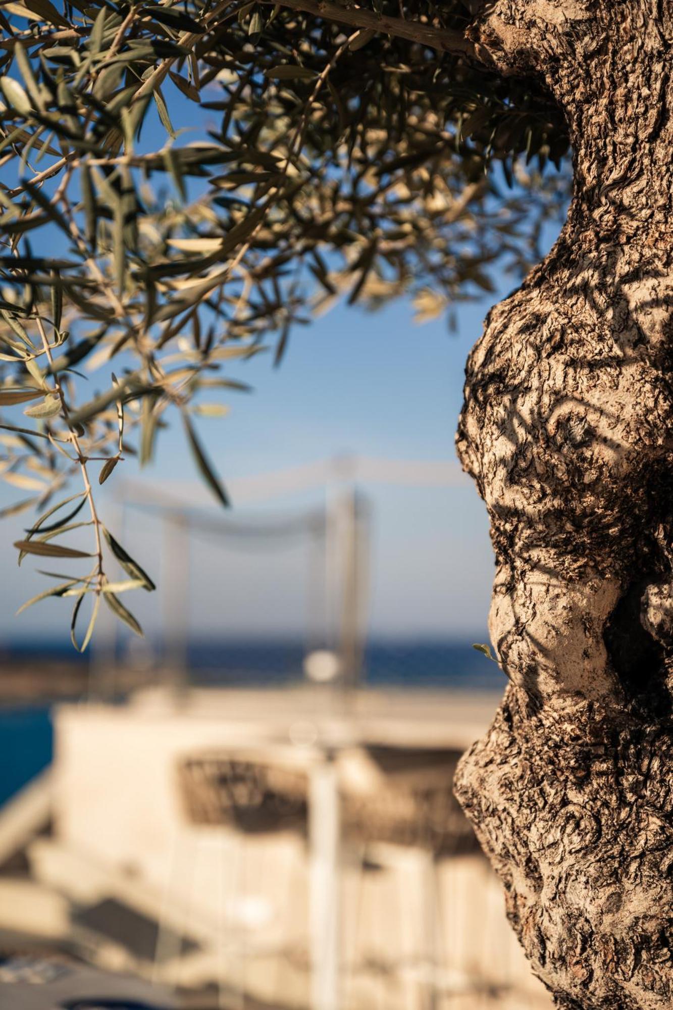 XVI Suites - Adults Only Naxxar Eksteriør bilde